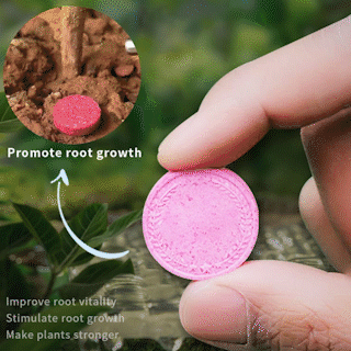 🔥2025 Hot Sale 50%OFF 🌞Home Gardening Universal Slow-Release Tablette Bio-Dünger
