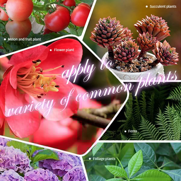 🔥2025 Hot Sale 50%OFF 🌞Home Gardening Universal Slow-Release Tablette Bio-Dünger