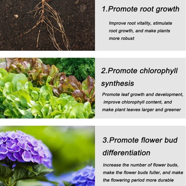 🔥2025 Hot Sale 50%OFF 🌞Home Gardening Universal Slow-Release Tablette Bio-Dünger