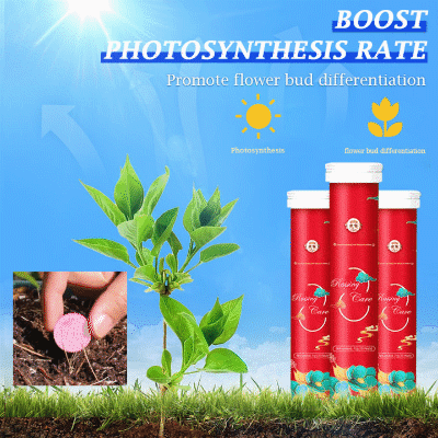 🔥2025 Hot Sale 50%OFF 🌞Home Gardening Universal Slow-Release Tablette Bio-Dünger