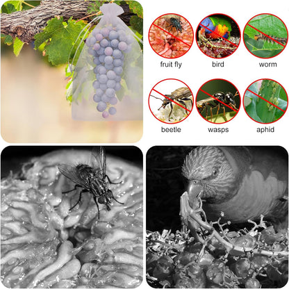 🔥🔥Mehr kaufen – mehr sparen!🥝🍊🍇Fruchtschutzbeutel – Effektiver Schutz für Ihre Früchte!