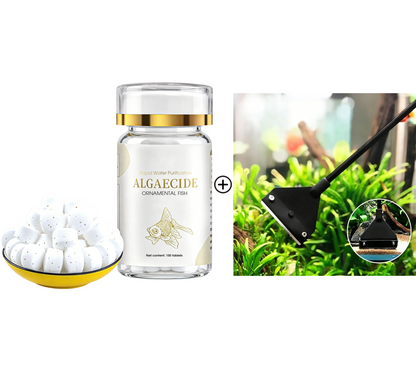 🐟💧 50% RABATT 🔥 Effektives Mittel gegen grünes Wasser & Moos im Aquarium – kristallklares Wasser in kurzer Zeit ✨