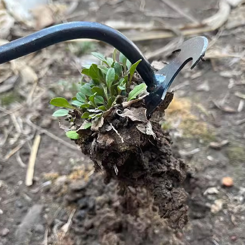 🌺Frühling Vorverkauf 49% Rabatt🌿Gartenarbeit Hand Unkrautstecher
