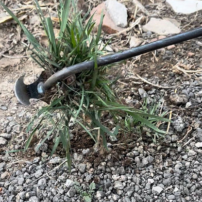 🌺Frühling Vorverkauf 49% Rabatt🌿Gartenarbeit Hand Unkrautstecher