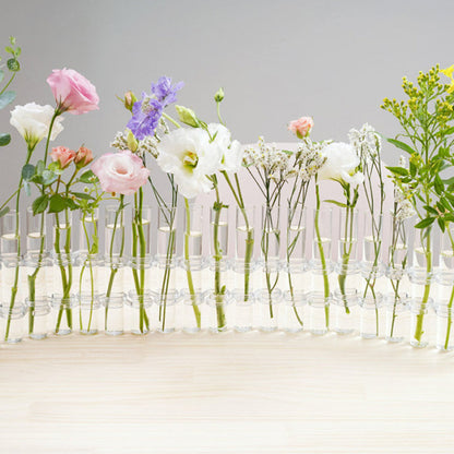 🏺✨ Zylindrische Vasen aus transparentem Glas | Moderne Glasvasen für Dekoration