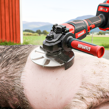🐖🔥 50% RABATT 💥 Arbeitssparende Schaberscheibe zur Entfernung von Schweinehaaren – schnell, effizient & kraftsparend ⚙️