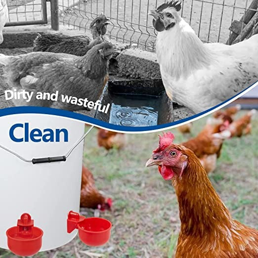 🐔50% RABATT⏰ Automatischer Wasserspender für Hühner – hält Wasser sauber und frisch für gesunde Aufzucht💧