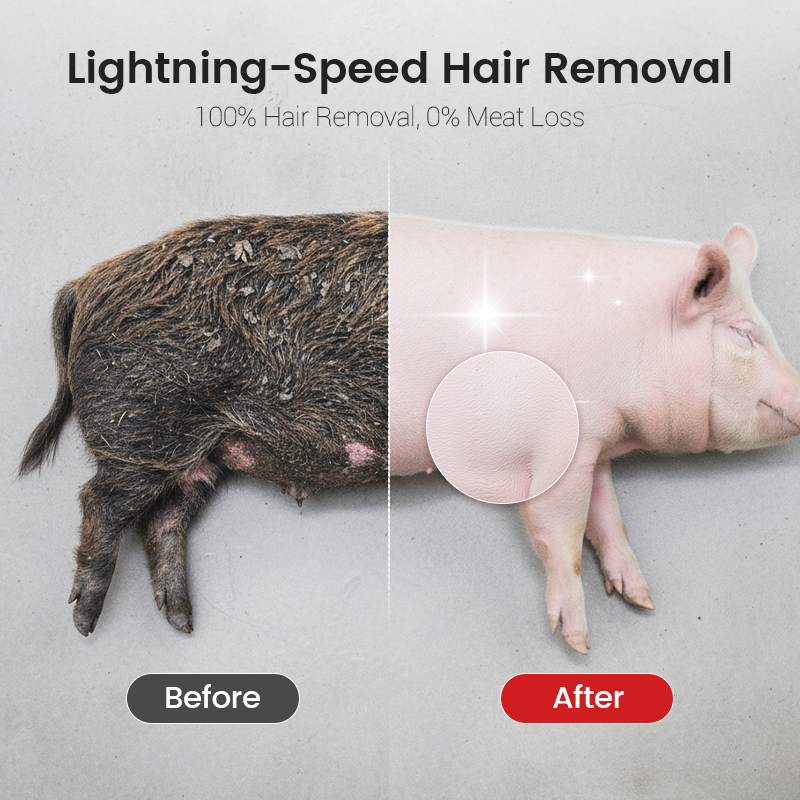 🐖🔥 50% RABATT 💥 Arbeitssparende Schaberscheibe zur Entfernung von Schweinehaaren – schnell, effizient & kraftsparend ⚙️