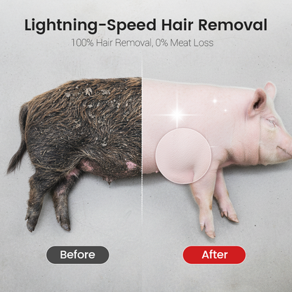 🐖🔥 50% RABATT 💥 Arbeitssparende Schaberscheibe zur Entfernung von Schweinehaaren – schnell, effizient & kraftsparend ⚙️