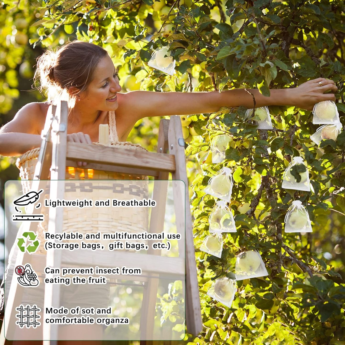 🔥🔥Mehr kaufen – mehr sparen!🥝🍊🍇Fruchtschutzbeutel – Effektiver Schutz für Ihre Früchte!