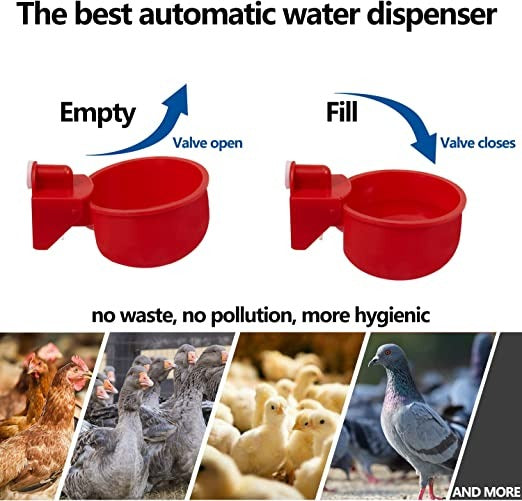 🐔50% RABATT⏰ Automatischer Wasserspender für Hühner – hält Wasser sauber und frisch für gesunde Aufzucht💧