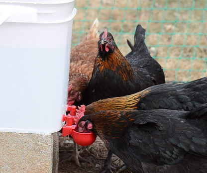 🐔50% RABATT⏰ Automatischer Wasserspender für Hühner – hält Wasser sauber und frisch für gesunde Aufzucht💧