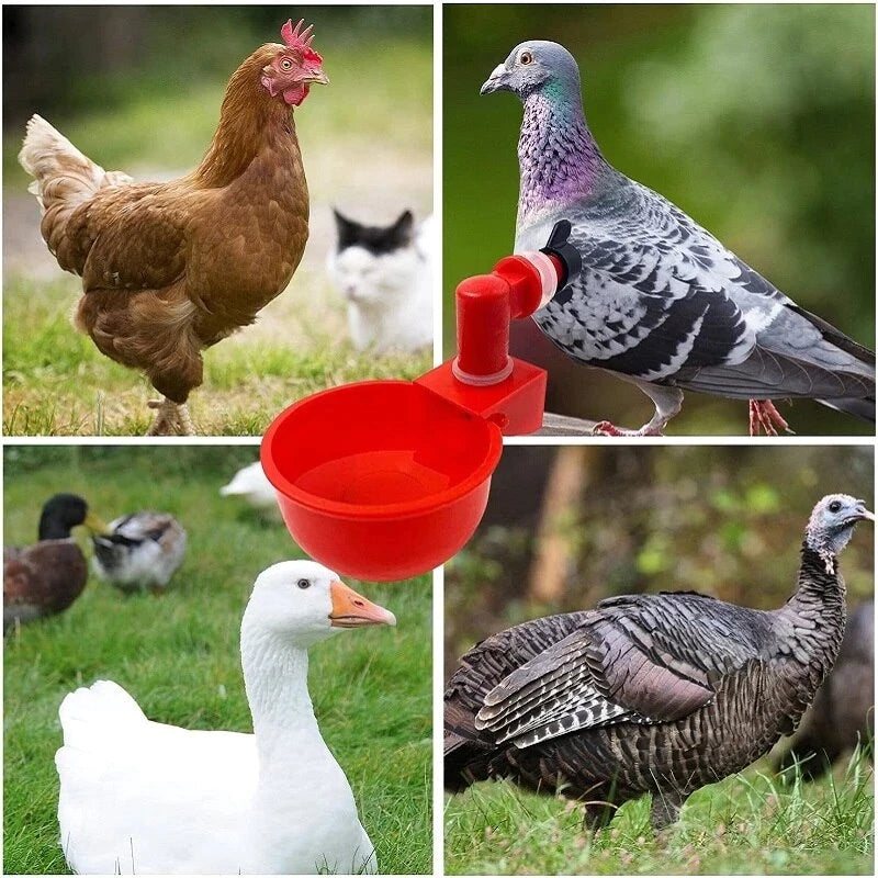 🐔50% RABATT⏰ Automatischer Wasserspender für Hühner – hält Wasser sauber und frisch für gesunde Aufzucht💧