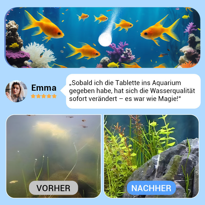 🔥 KAUF 2 + 1 GRATIS! Power-Wassertabletten – Trübes Wasser? In kurzer Zeit glasklar 💧