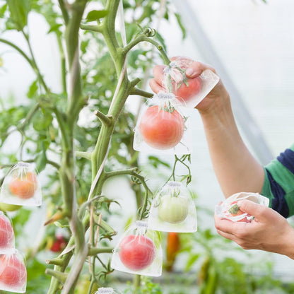 🔥🔥Mehr kaufen – mehr sparen!🥝🍊🍇Fruchtschutzbeutel – Effektiver Schutz für Ihre Früchte!