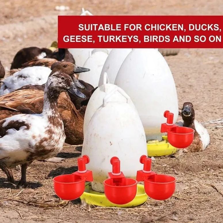 🐔50% RABATT⏰ Automatischer Wasserspender für Hühner – hält Wasser sauber und frisch für gesunde Aufzucht💧