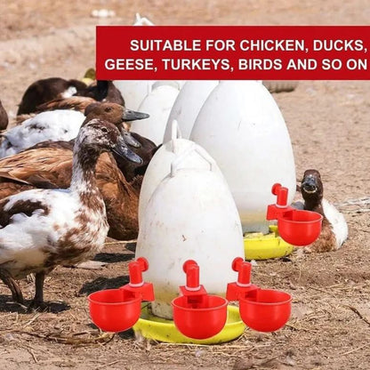 🐔50% RABATT⏰ Automatischer Wasserspender für Hühner – hält Wasser sauber und frisch für gesunde Aufzucht💧