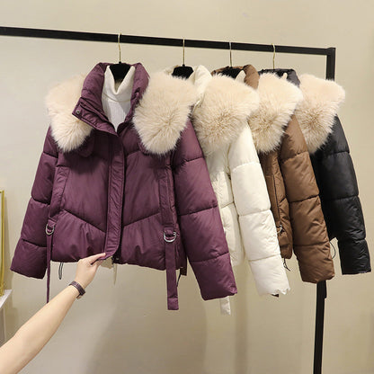 ❄️Winter Specials❄️ Warme Damen-Kurzjacke mit Puffy Collar und durchgehendem Reißverschluss🔥