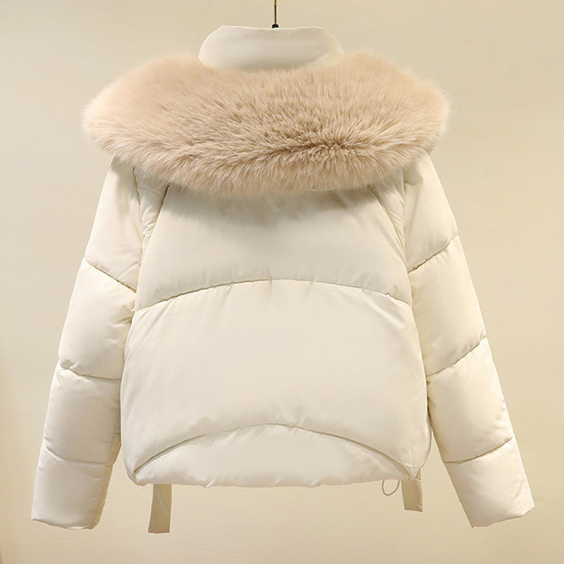 ❄️Winter Specials❄️ Warme Damen-Kurzjacke mit Puffy Collar und durchgehendem Reißverschluss🔥