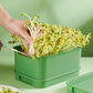 🌱💚Stackable Bean Sprout Growing Box🎉 Second One at Half Price! Mehrschichtiges Design, perfekt für den Heimanbau, gesundes grünes Leben!