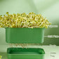 🌱💚Stackable Bean Sprout Growing Box🎉 Second One at Half Price! Mehrschichtiges Design, perfekt für den Heimanbau, gesundes grünes Leben!