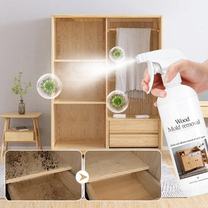 3 in 1 👉|Schimmelentfernung, Desinfektion und Sterilisation - ⚡️ Rapid Mould Remover