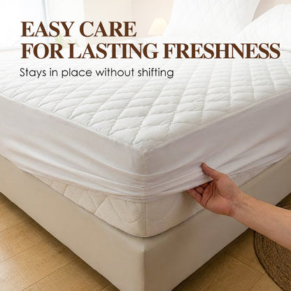 🛏️ 50 % RABATT! 🛡️ Set aus wasserdichtem Matratzenbezug und Kissenbezügen – Milbenabweisend, weich im Griff und leicht zu waschen ✨