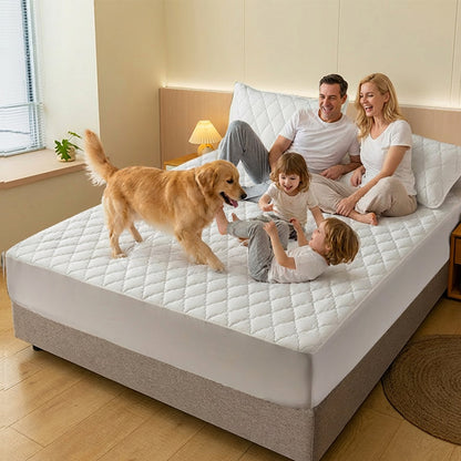 🛏️ 50 % RABATT! 🛡️ Set aus wasserdichtem Matratzenbezug und Kissenbezügen – Milbenabweisend, weich im Griff und leicht zu waschen ✨