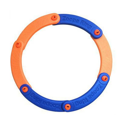 🔥Solange der Vorrat reicht 50% Rabatt!🎮 Modulares Pfeifenring-Spielzeug