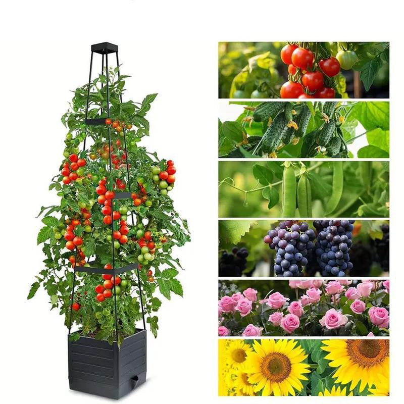 ⏳Limitiertes 50 % Rabatt⏰Selbstbewässerndes Tomaten-Pflanzset mit Kletterpflanzenhalter🍅🪴