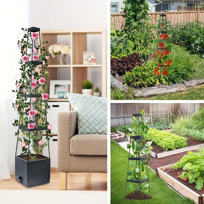 ⏳Limitiertes 50 % Rabatt⏰Selbstbewässerndes Tomaten-Pflanzset mit Kletterpflanzenhalter🍅🪴