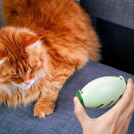 📢📢Kaufe 5 und erhalte 5 gratis dazuKleiner, auswaschbarer, kräftiger und klebriger Tierhaarentferner