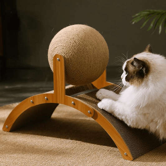 🐾🐈 Natürlicher Sisal-Kratzball • Praktische Kartonunterlage • Für jede Katze 🎉