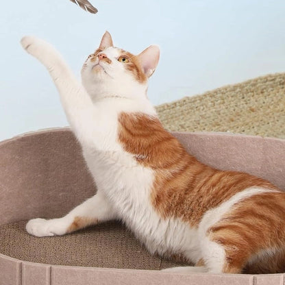 🌟JETZT 50 % RABATT!🐱Multifunktionales Katzenbett aus Filz mit Kratzpad💖