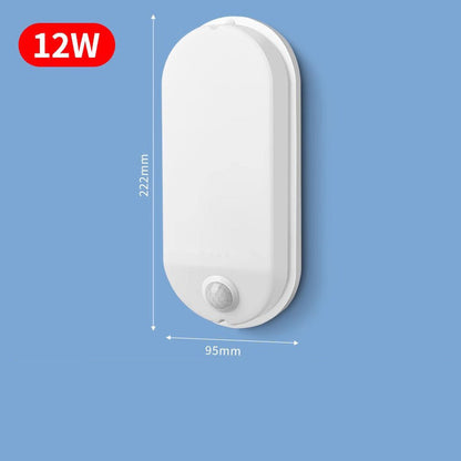 🏠 Bewegungsgesteuerte LED-Wandleuchte 🔦 Für jeden Raum perfekt!