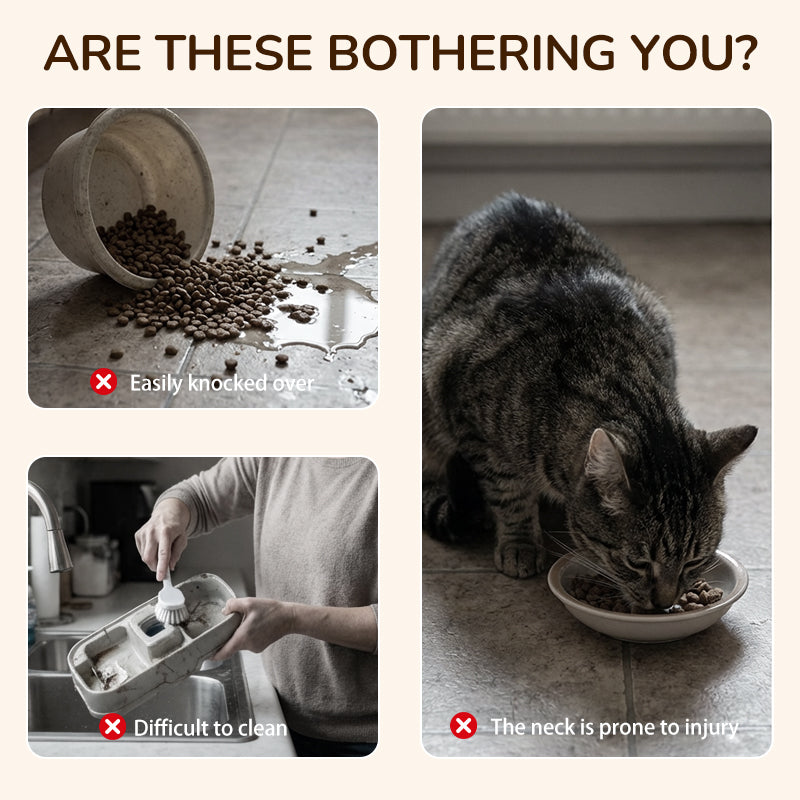 🐾50 % Rabatt!!🐱🐶 Rutschfester erhöhter Futtertrog 🥣 mit 3 Schalen für Haustiere 💖