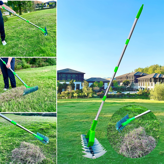 🌱 Hochleistungs-Vertikutier- und Belüftungsrechen ✨ Perfekt für Rasenpflege & Gartenpflege🌿2.
