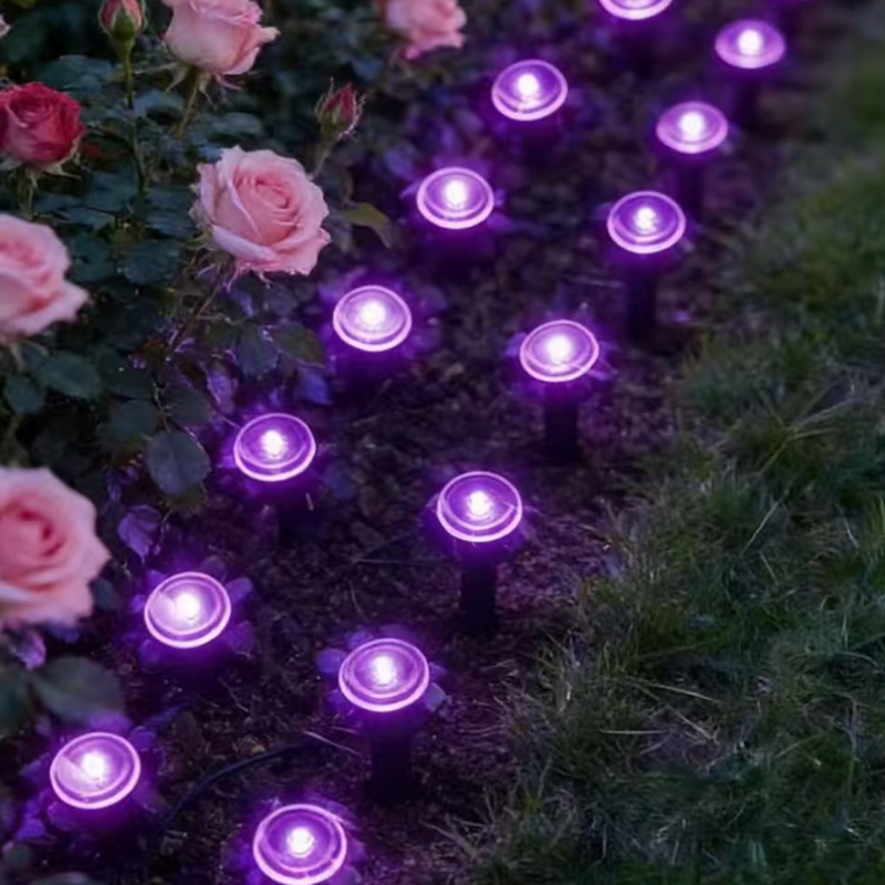 💡🌿  Solarbetriebene Gartenwegleuchten – Automatisches Ein/Aus, wasserdicht & perfekt für Wege, Einfahrten & Terrassen ✨