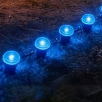💡🌿  Solarbetriebene Gartenwegleuchten – Automatisches Ein/Aus, wasserdicht & perfekt für Wege, Einfahrten & Terrassen ✨