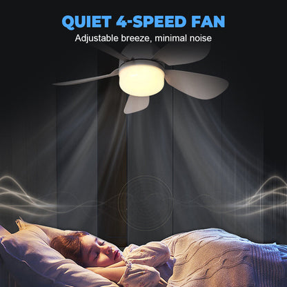 💡 2-in-1-Deckenventilator ✨ mit LED-Beleuchtung & Fernbedienung 🎛️ Leise & 4-Gang 🌀