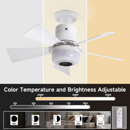 Smart-Home-Deckenventilator: Licht, RGB & Bluetooth-Speaker in einem! 💡🎶🌀