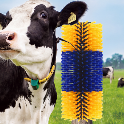 🐄 50% RABATT! 🧼 Massage- & Pflegebürste für Nutztiere – Rundum, sanft & effektiv ✨