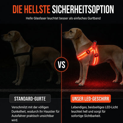 🔦🐾 LED Hundegeschirr verstellbar ✨ Blinklicht Brustgeschirr, hohe Sichtbarkeit bei Nachtspaziergängen 🌙