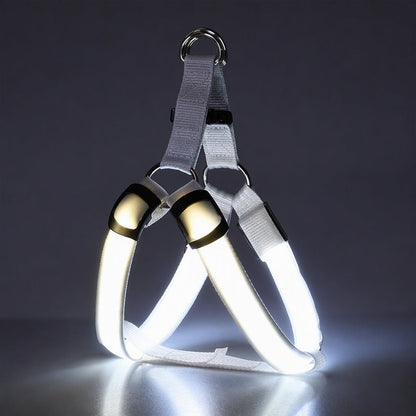 🔦🐾 LED Hundegeschirr verstellbar ✨ Blinklicht Brustgeschirr, hohe Sichtbarkeit bei Nachtspaziergängen 🌙