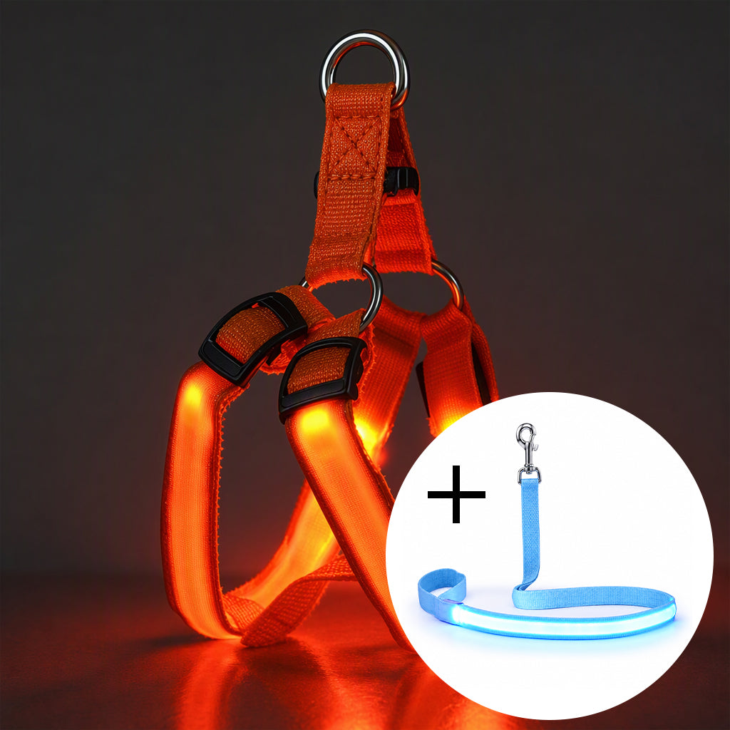 🔦🐾 LED Hundegeschirr verstellbar ✨ Blinklicht Brustgeschirr, hohe Sichtbarkeit bei Nachtspaziergängen 🌙