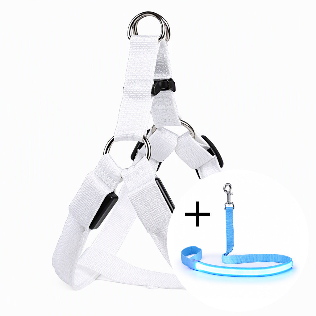🔦🐾 LED Hundegeschirr verstellbar ✨ Blinklicht Brustgeschirr, hohe Sichtbarkeit bei Nachtspaziergängen 🌙
