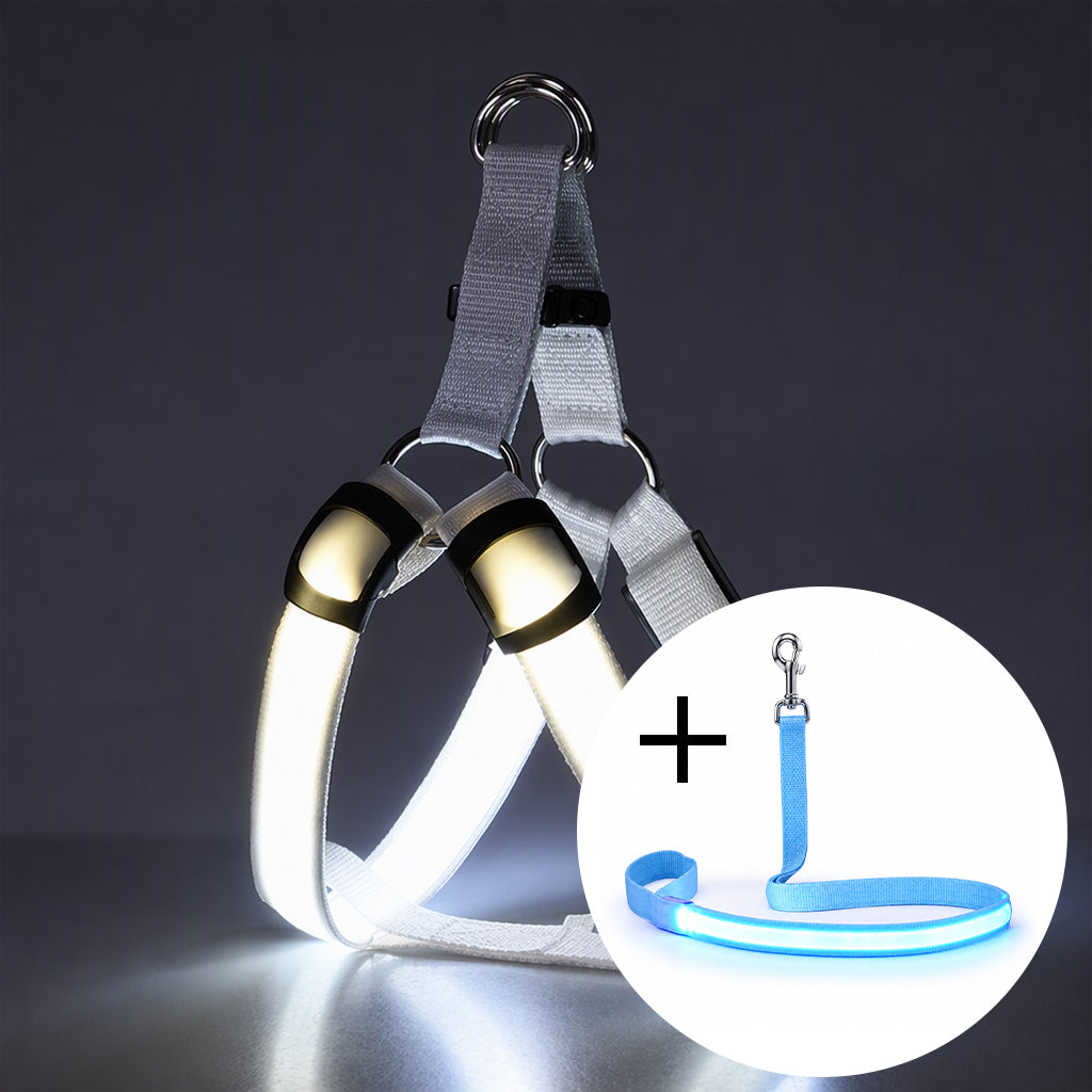 🔦🐾 LED Hundegeschirr verstellbar ✨ Blinklicht Brustgeschirr, hohe Sichtbarkeit bei Nachtspaziergängen 🌙